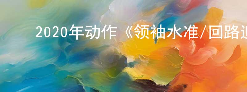 陈乔伟发布2020年动作《领袖水准/回路追杀令》BD中英双字幕迅雷下载_电影天堂